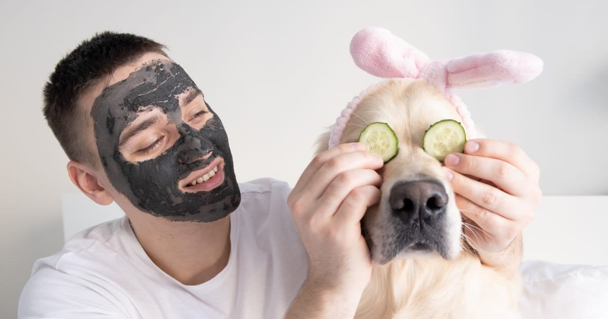 masajes a los animales y mascotas
